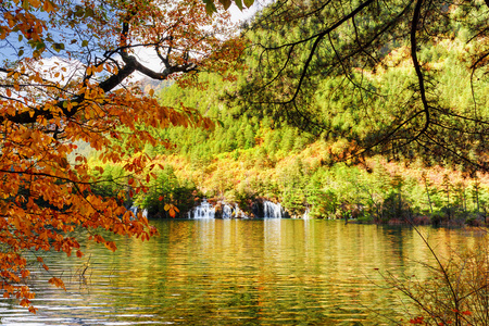 秋天树叶中有晶莹清澈的湖水图片