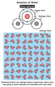 水图表图的结构显示氧和氢原子之间的水分子和离子键同时也显示了化学科学教育中闪烁星团的微观视角