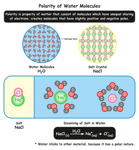 水分子图表图的极性与盐的晶体结构及其在水中溶解的微观观及其对化学科学教育的启示