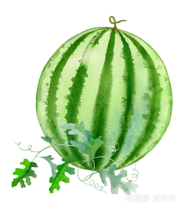 水彩手绘西瓜