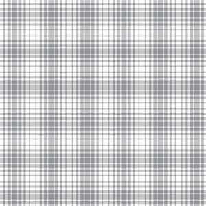 白色格纹灰色白色编织格纹图案照片