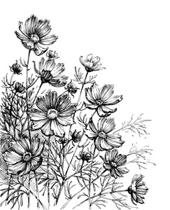 花海那拉提图片