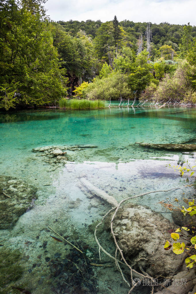 在森林里的清水湖