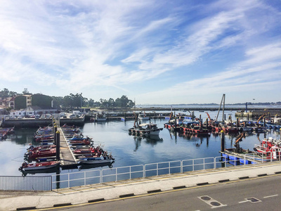 停泊在 Vilanova de Arousa 港的渔船