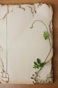 打开旧的书空白老木背景仍然正确照片