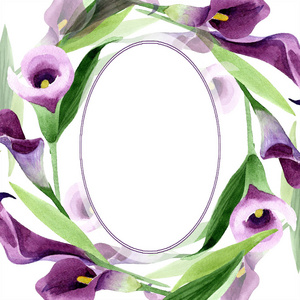 水彩紫卡拉斯花。花卉植物花。框边框装饰广场