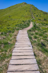 波兰 Subcarpathian 省 Bieszczady 国家公园芒 Halicz