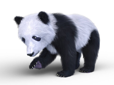 一只熊猫的 3d cg 渲染。
