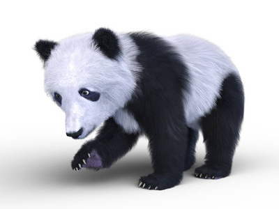 一只熊猫的3d Cg 渲染 照片 正版商用图片0ro3bq 摄图新视界 一只熊猫的3d Cg 渲染 照片 正版商用图片0ro3bq 摄图新视界