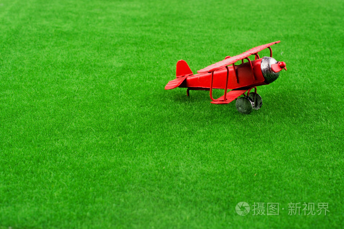 在草丛中的模型飞机