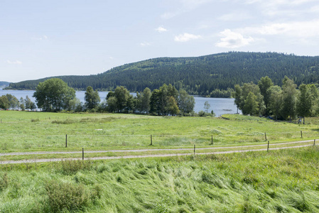 Schluchsee 湖