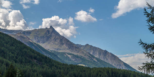 山风景, 山的全景在夏天天