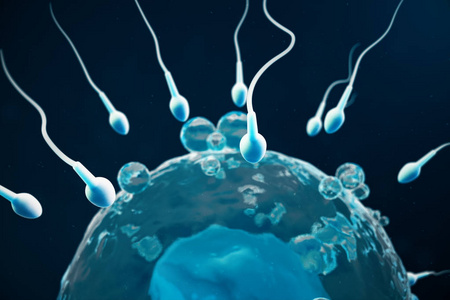 精子和卵细胞卵子本土和自然施肥特写视图。构想新生活的开始。医学概念3d 插图