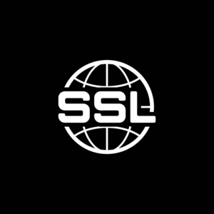 全球 Ssl 安全图标。平面设计