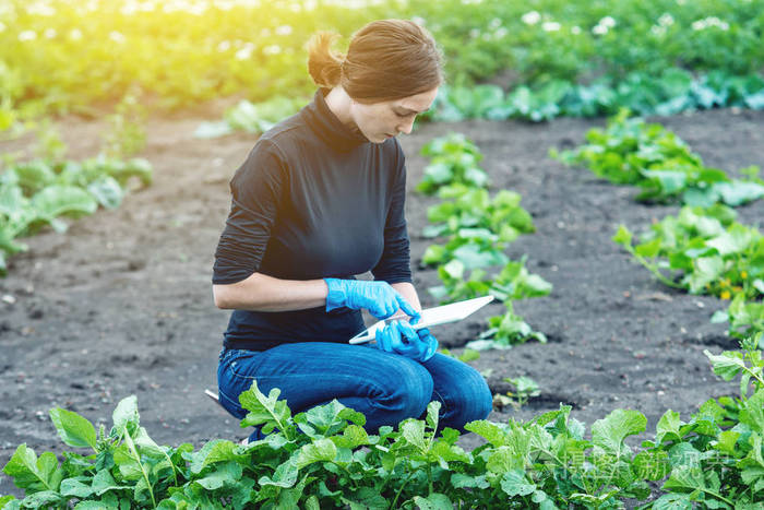 女专家农艺师拿着一块药片.农业农场的概念与质量控制