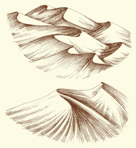 沙漠素描大全图片