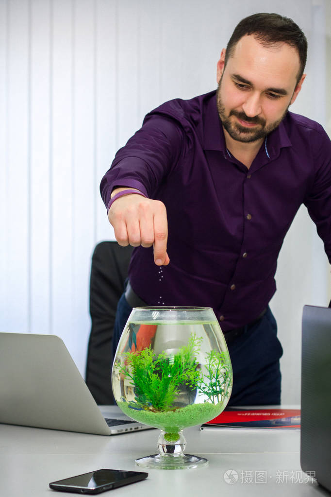 穿衬衣的男人正在办公室里的鱼缸里喂鱼.