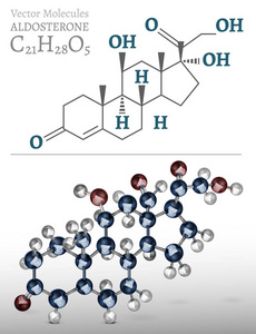 醛固酮分子图像