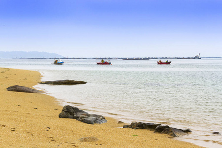 贝类渔民在 Vilanova de Arousa Sinas 海滩的三条小船上拖蛤