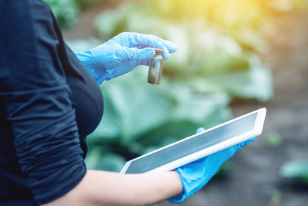 概念环保农业生产无硝酸盐照片