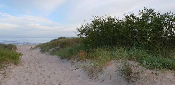 波罗的海的沙丘在早晨, 通往海边的小路, 海滩