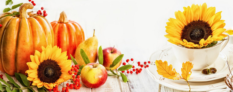 秋季水果和蔬菜