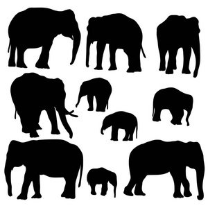 向量集的大象