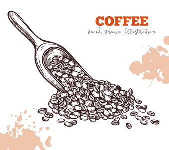 咖啡豆的雕刻风格, 素描.咖啡的收获和收纳.