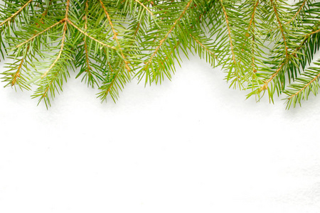 云杉的树枝上白色的背景, 纹理的雪。圣诞框架, 可以作为背景使用
