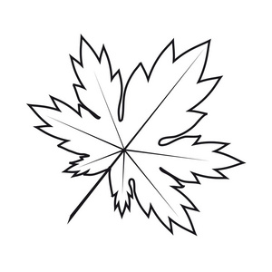槭叶大纲图标白色黑色