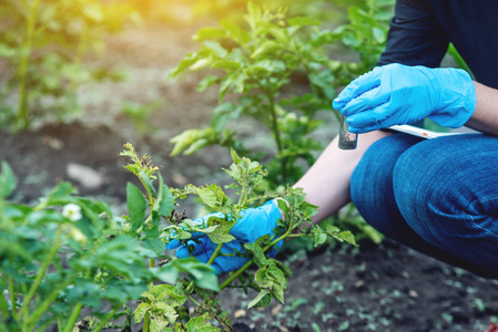 概念环保农业生产无硝酸盐照片