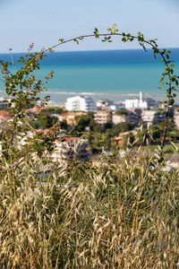 意大利 Roseto 天使。Roseto 天使也被称为 丽都阿玫瑰, 因为各种各样的玫瑰和夹竹桃