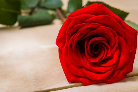 红玫瑰躺在一张木桌上的一朵花