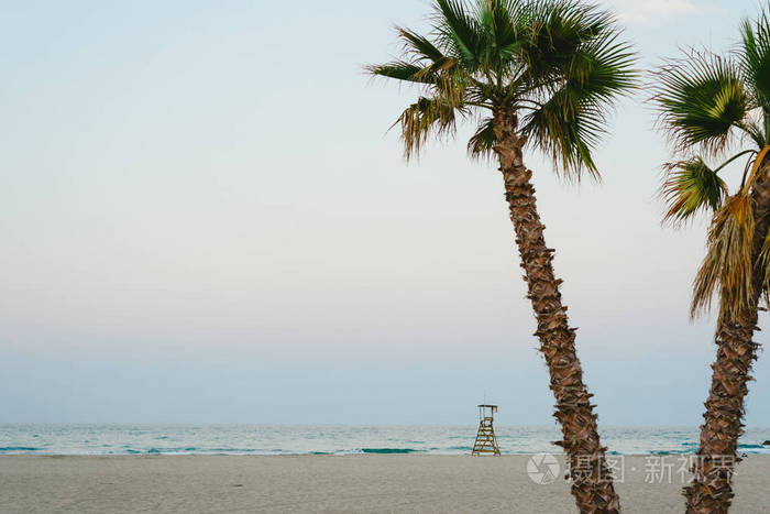 日落海滩上的棕榈树