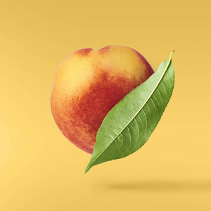 在黄色的背景下, 在绿色的叶子上飞行新鲜成熟的桃子。食品悬浮概念, 高分辨率图像