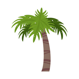 棕榈树图标图像