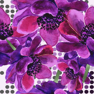 美丽的紫色的花朵。这朵花的全名是海葵。无缝背景