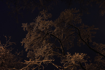 冬天的夜晚背景