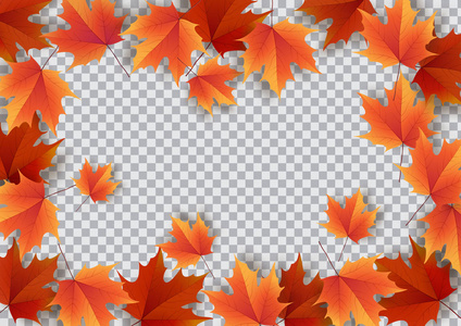 秋天的叶子。明亮多彩的秋天橡树叶。模板的