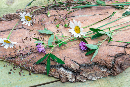 木木板上的野花
