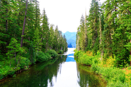 风景秀丽的山绿河与透明的水