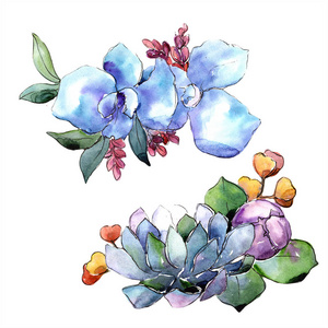 水彩五颜六色的花束花。花卉植物花。独立的插图元素。背景质地包装图案框架或边框的水彩画野花