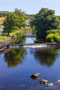 Owenglin 河和植被在都柏林, 爱尔兰