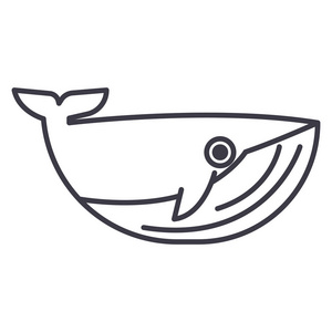 鲸鱼矢量线图标 标志 插图背景，可编辑笔触