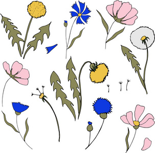 田野花的卡通风格。矢量蒲公英, 矢车菊和宇宙花朵。野生植物开花。伟大的茶叶包装, 标签, 图标, 贺卡, 装饰