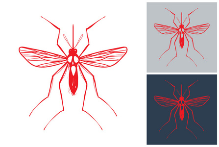 Zika 病毒模式