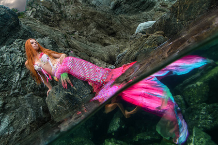 长尾鱼海岸边长尾美丽美人鱼照片