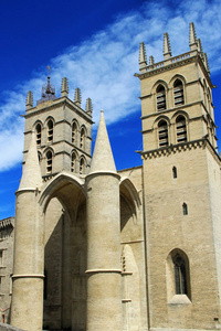 大学的医学和圣皮埃尔大教堂，法国南部蒙彼利埃
