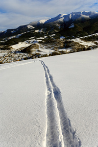 雪的草地上滑雪火车图片