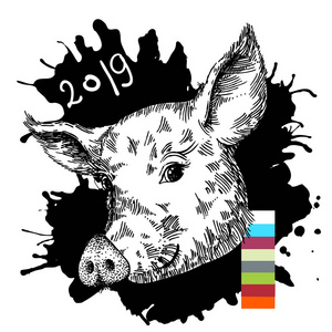 手绘矢量插图猪素描。2019新年的象征